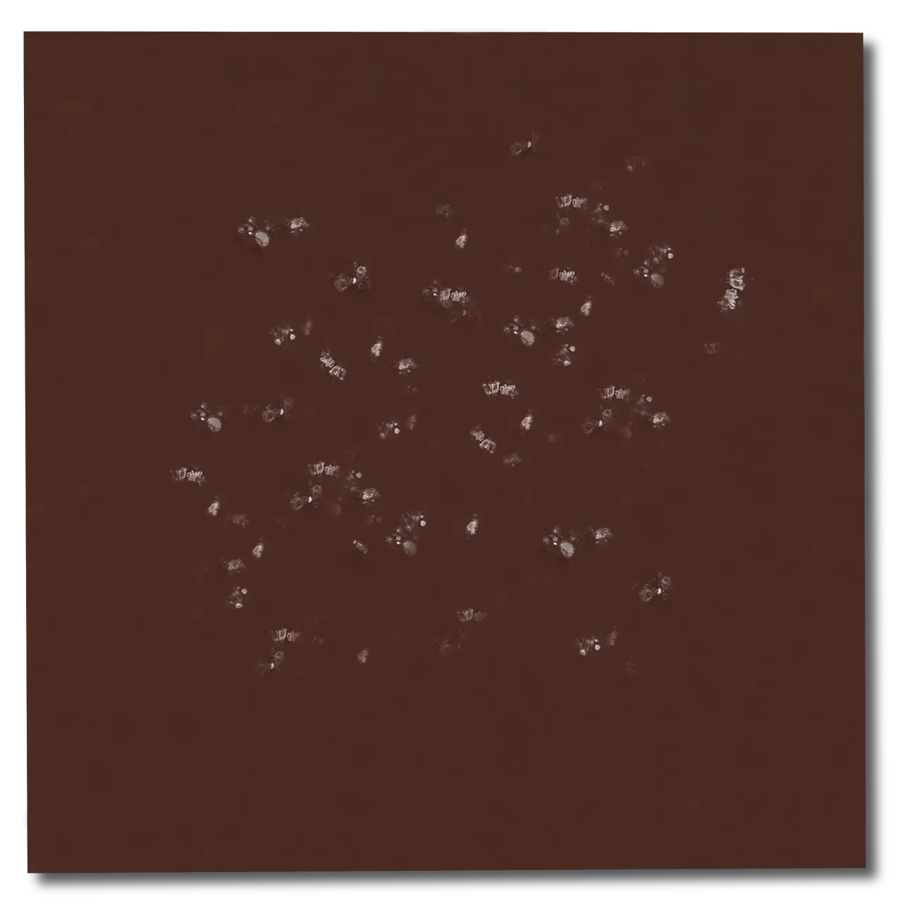 No.02 シーソルト Sea salt