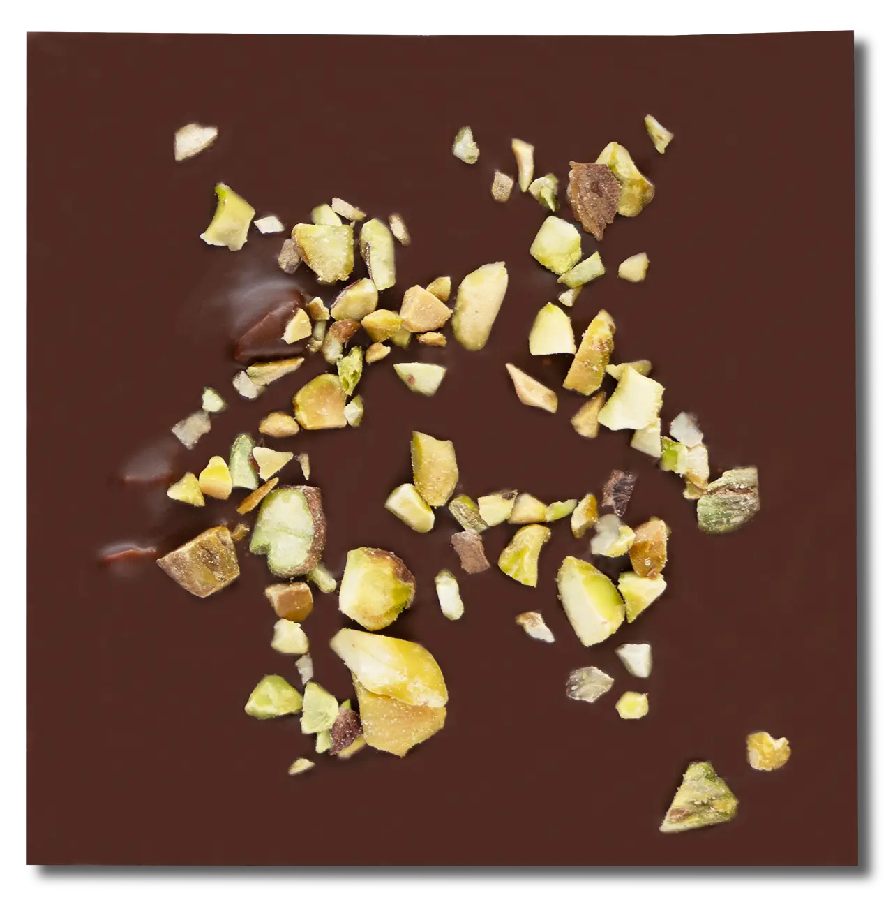 No.04 ピスタチオ Pistachio